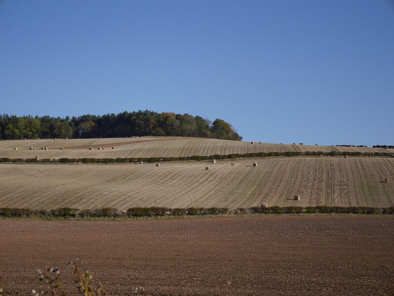 File:Arable land, Cappuck - geograph.org.uk - 4968092.jpg