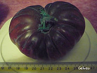 Arbuznyi tomato 1.jpg