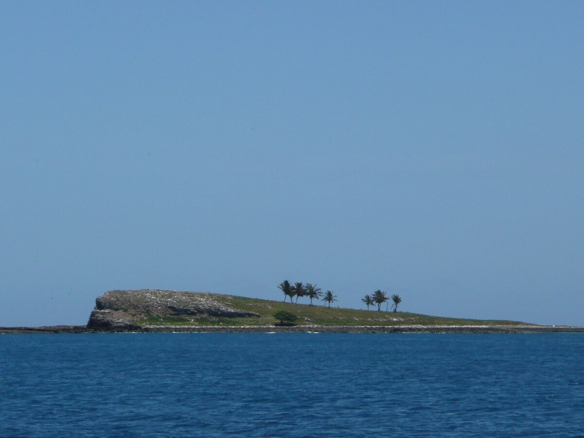 Brazilian Island - Wikipedia