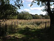 Ash Moor - geograph.org.uk - 575201.jpg