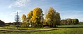 * Nomination Aspen (Populus tremula) grove at Slätten, Öhed, Brastad, Sweden. --W.carter 17:21, 15 October 2017 (UTC) * Promotion Good quality. --Ermell 19:25, 15 October 2017 (UTC)