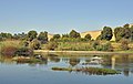 Aswan Nile R10.jpg