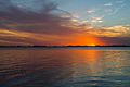 * Nomination Sunset in Chascomus' Lagoon. By User:Pinpa82 PS:participating on WikiTour2016, a contest of WM-AR --Ezarate 18:01, 21 November 2016 (UTC) * Decline  Comment Nice light but a bit noisy - I assume because of high ISO (can't be sure; EXIF data missing). Can anything be done about this?--Peulle 18:23, 21 November 2016 (UTC) I retouched the three images, they were uploaded without metadata, a pity. I am evaluating them --Ezarate 19:17, 21 November 2016 (UTC) Oppose Sorry, this one is just too noisy; I can see the noise while sitting 1,5m away from my monitor. Feel free to go to CR if you disagree.--Peulle 18:01, 28 November 2016 (UTC)