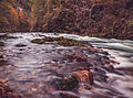 "Autumn_at_Vintgar_gorge.jpg" by User:Sporti