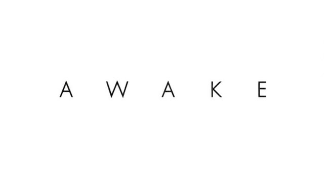 Awake (TV series)