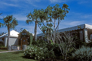 Бермудський ботанічний сад