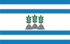 Bandeira de Ortigueira.svg