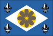 Vlag van Ibirataia