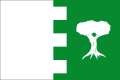 Bandera de Agrón (Granada).svg
