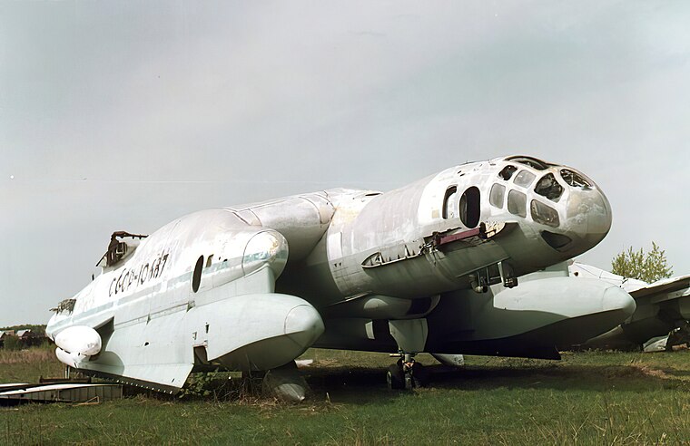 Bartini Beriev VVA-14