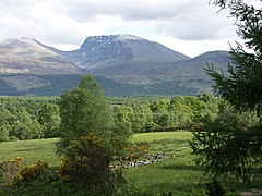 Ben Nevis aus Muirshearlich - geograph.org.uk - 14135.jpg