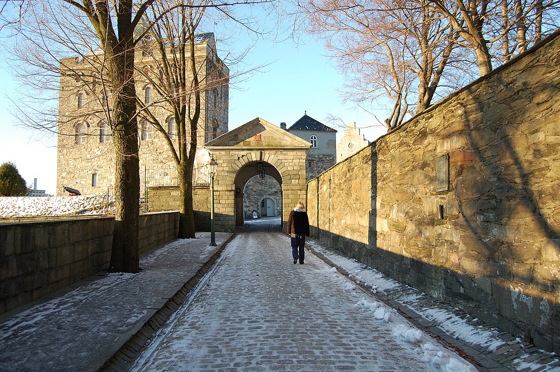 Bergenhus (vesting)