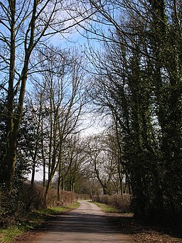 Beryl Burton Cycleway - geograph.org.uk - 144634