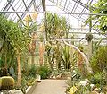 Inside the desert green house of the BG of Bochum, Germany