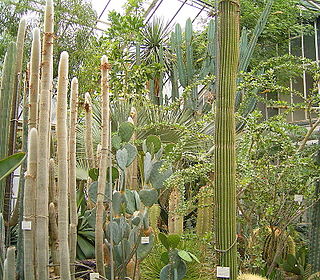 Botanical Garden of the University of Heidelberg Botanical garden in Germany