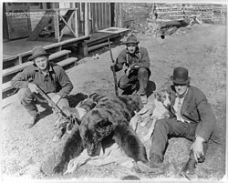 Zwarte beer met een gewicht van 252 lbs.  neergeschoten door Jim O'Brine in Saltese, Montana, 12 mei 1910