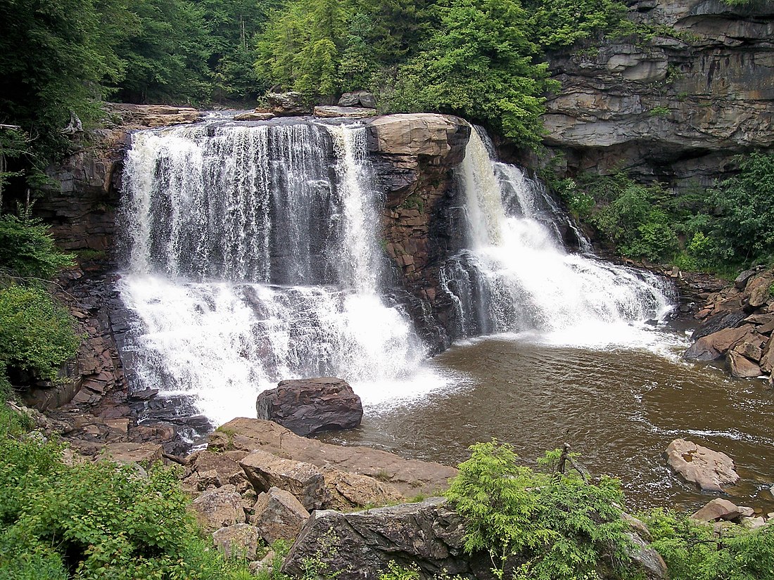 Blackwater Falls State Park