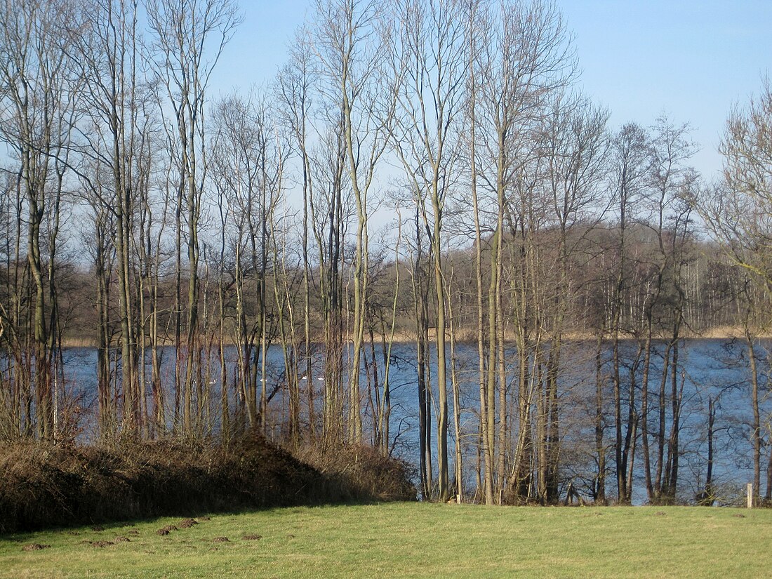 Grönauer Heide, Grönauer Moor und Blankensee