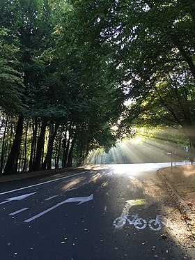 Ilustrační obrázek článku Avenue de Groenendael