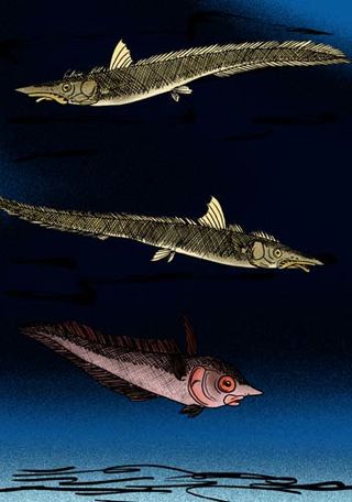 <i>Bolbocara</i> Extinct genus of fishes