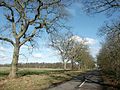 Thumbnail for File:Brick Pit Covert - geograph.org.uk - 106427.jpg