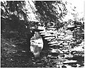 Thumbnail for Bell Creek (Tunkhannock Creek tributary)