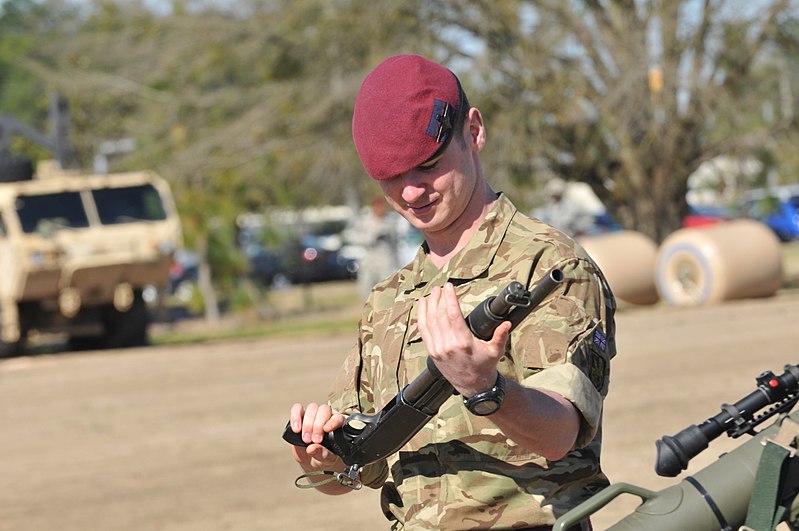 File:British paratroopers get hands on during the 2BCT demonstration day 150318-A-ZK259-306.jpg