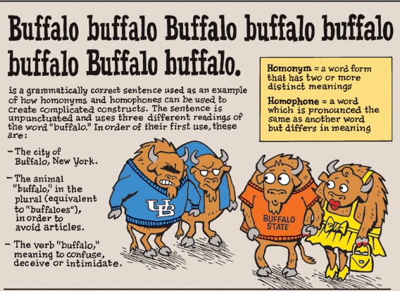 File:Buffalo buffalo WikiWorld.tif