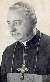 Liturgiereform: Frühere Liturgiereformen, Anfänge: Liturgische Bewegung, Mediator Dei und wissenschaftliche Aufarbeitung in Deutschland und Frankreich, Zweites Vatikanisches Konzil: Sacrosanctum Concilium (1963)