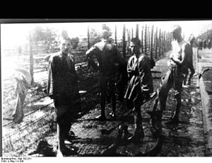 Camp De Concentration De Mauthausen: Histoire, Prisonniers, Libération et héritage