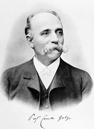 <span class="mw-page-title-main">Camillo Golgi</span> Italian biologist and pathologist (1843–1926)