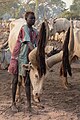 * Nomination Cattle camp of the Mundari tribe, Terekeka, South Sudan --Poco a poco 13:40, 5 May 2024 (UTC) * Promotion  Support Good quality. --C messier 20:12, 11 May 2024 (UTC)