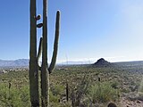 West Saguaro National Park around Sombrero Mountain near Tucson, Arizona in November 2016.