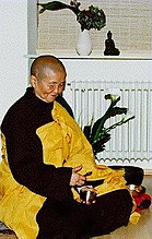 La religieuse bouddhiste vietnamienne Chân Không.