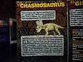 Infografía de los fósiles informalmente y erróneamente asociados a Chasmosaurus.