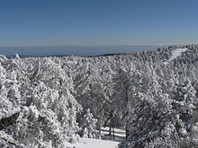 The Troodos Mountains experience heavy snowfall in winter. Chionistra winter 1.JPG