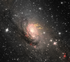 Circinus Galaxy.png