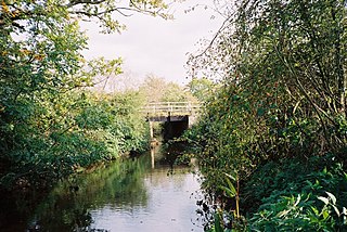 The Cut, Berkshire River in Berkshire, England