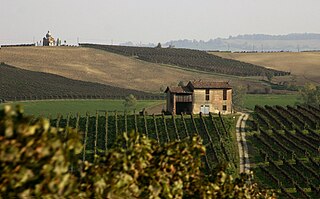 <span class="mw-page-title-main">Colli Piacentini</span> Italian wine region