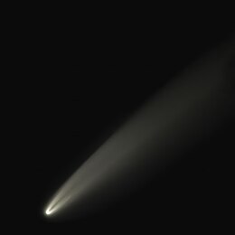 Cometa C-2020 F3 (NEOWISE).jpeg