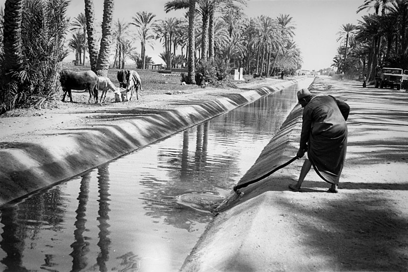 File:Concrete lined irrigation canal.jpg