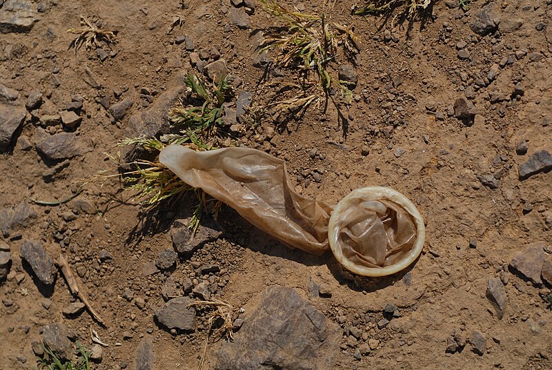 File:Condom on earth.jpg