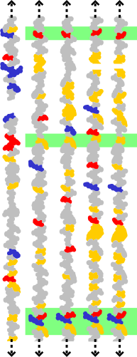 File:Conserved residues.svg
