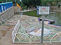 Costa mediterránea, mosaico de Dámaso Ruano, Pilar Bermejo y Blanca González, en el parque del Oeste, 2023-12-13.