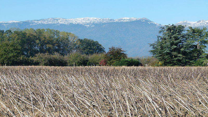 File:Crêt de la Neige 1.JPG