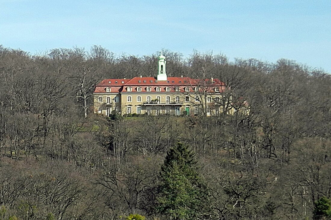 Schloss Wachwitz