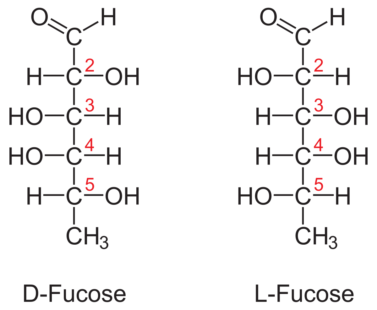 Фукоза формула структурная. Альфа d галактоза. Галактоза и галактоза. Бета d галактоза.