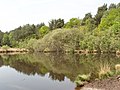 https://upload.wikimedia.org/wikipedia/commons/thumb/5/5f/Danewell_Pond_on_Horsell_Common_-_geograph.org.uk_-_168237.jpg/120px-Danewell_Pond_on_Horsell_Common_-_geograph.org.uk_-_168237.jpg