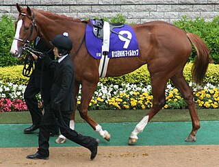 <span class="mw-page-title-main">Deep Sky (horse)</span> Japanese-bred Thoroughbred racehorse
