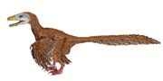 Lebendrekonstruktion des Deinonychus antirrhopus